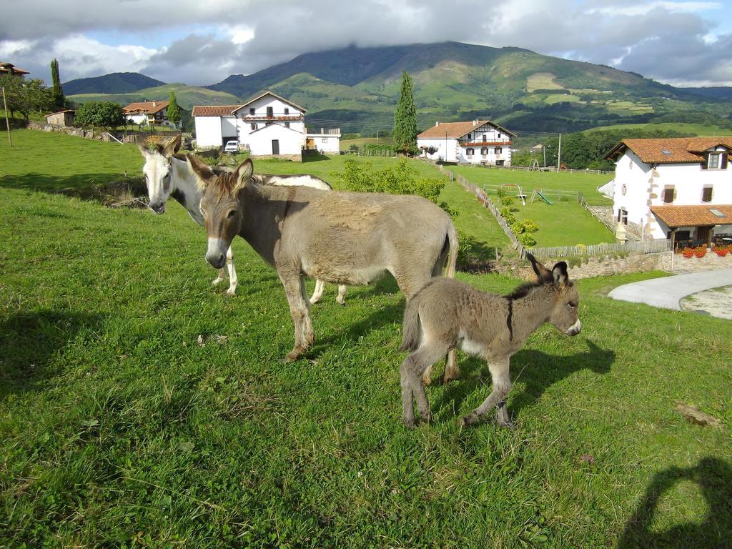 Casa Rural Gananea Zuaztoy de Azpilcueta Chambre photo